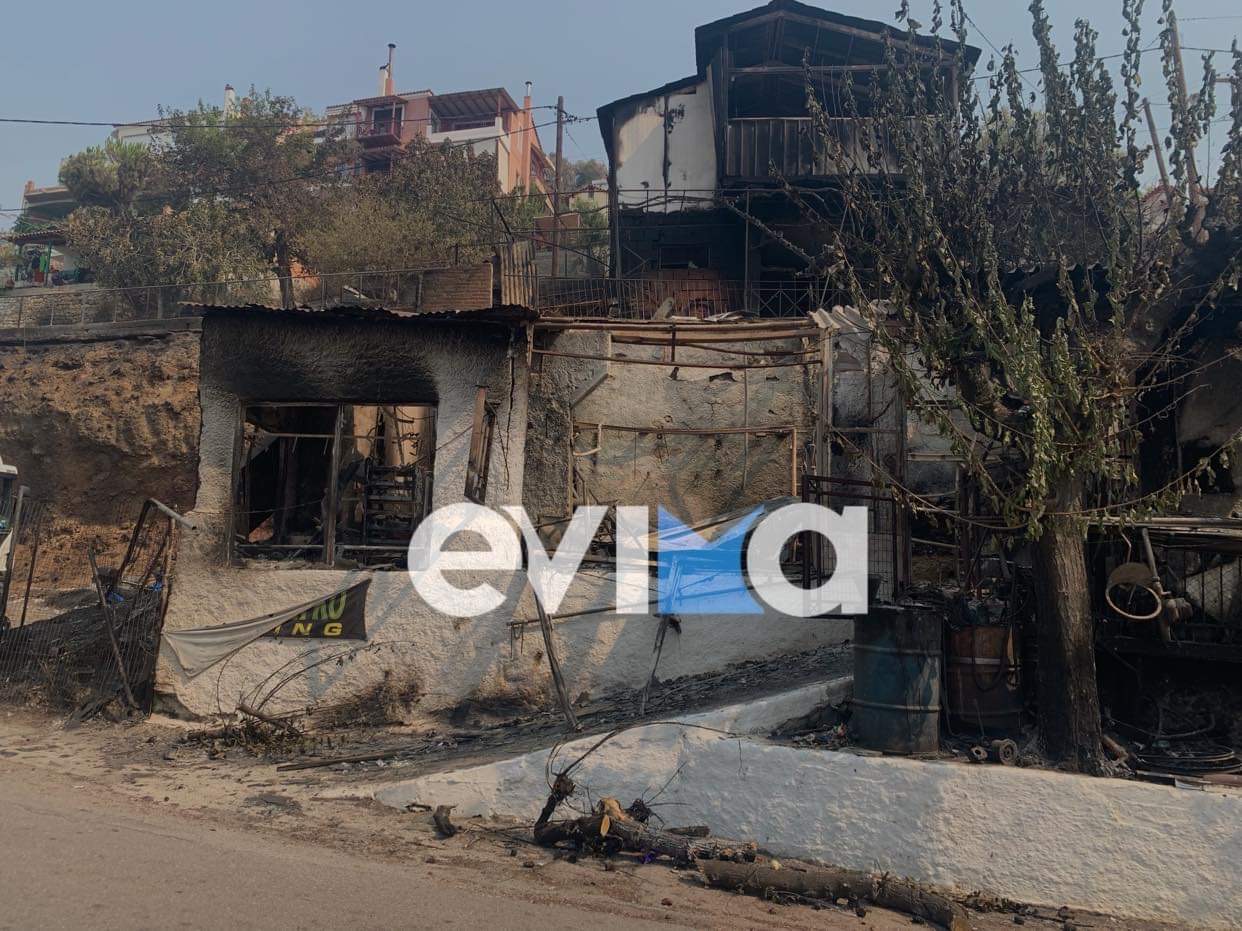ΔΕΘ-Τριαντόπουλος: «Γρήγορη και δίκαιη η στήριξη στους πληγέντες από τις φυσικές καταστροφές»
