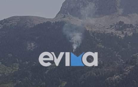 Εύβοια: Φωτιά ΤΩΡΑ στο χωριό Καμπιά σε δασική έκταση [εικόνες]
