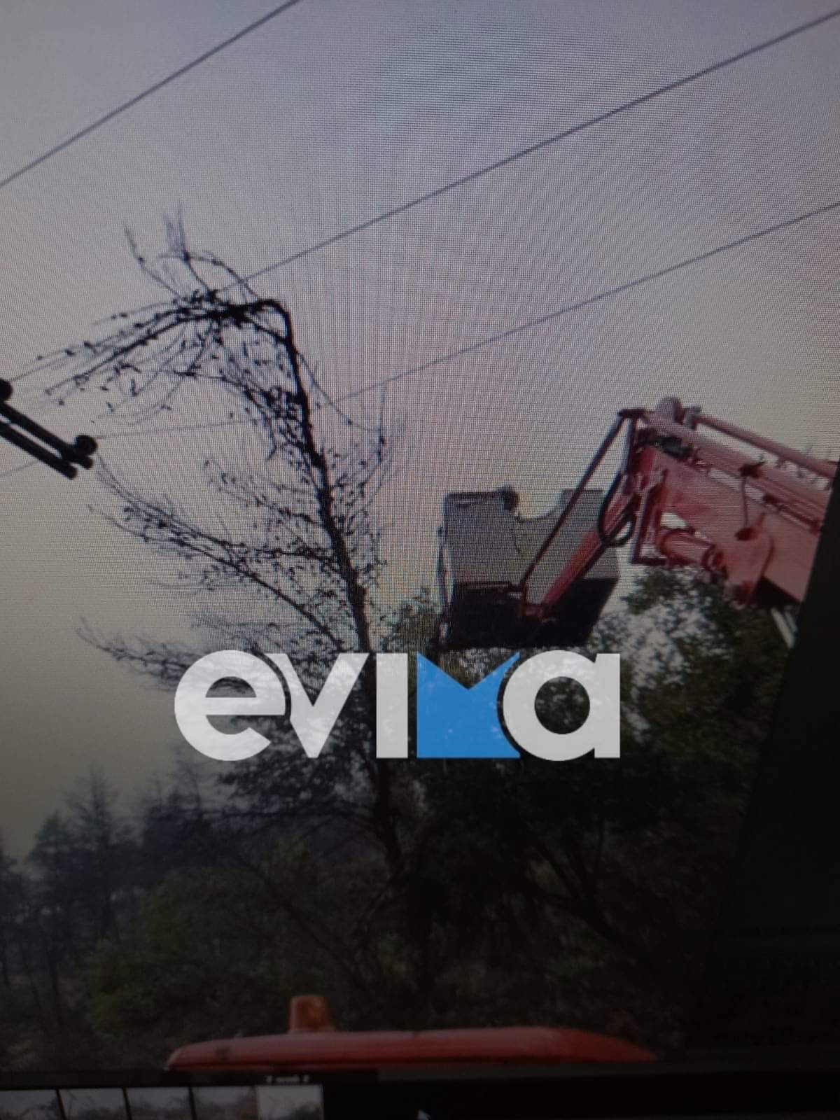 Κακοκαιρία Εύβοια: Πτώσεις δέντρων άφησαν χωρίς ρεύμα και νερό τον οικισμό Μακρυμάλλη «εικόνες»