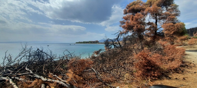 Β. Εύβοια: Στις πυρόπληκτες Ροβιές ο Μητροπολίτης Χαλκίδος [εικόνες]