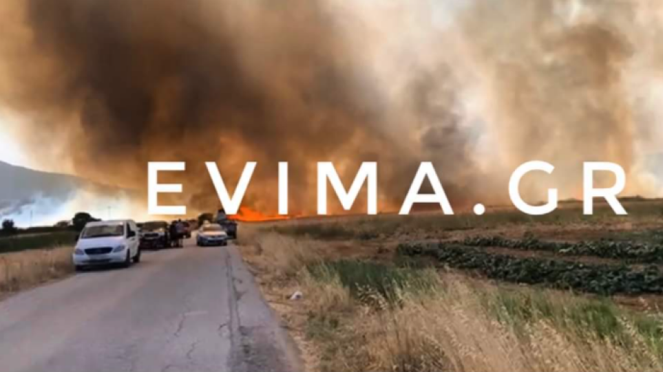 Φωτιές Εύβοια: Δημοσιεύθηκε στο ΦΕΚ η ΚΥΑ για τις αποζημιώσεις των πληγέντων