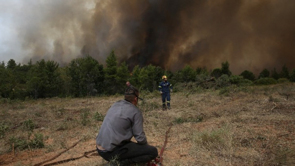 Αγώνας δρόμου για τη στήριξη της Βόρειας Εύβοιας που επλήγη από τις φωτιές