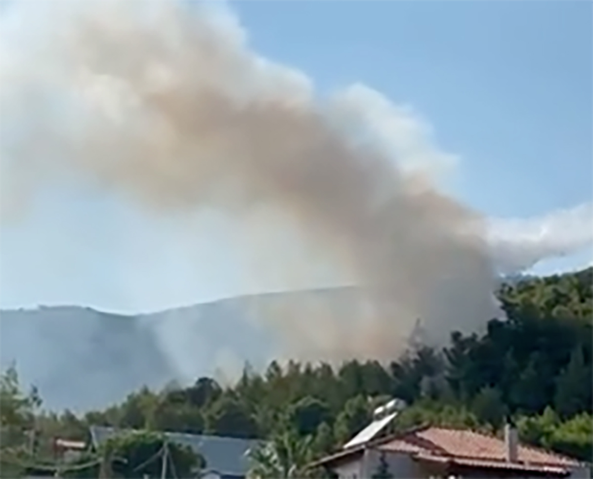 Νέα φωτιά τώρα στους πρόποδες της Πάρνηθας