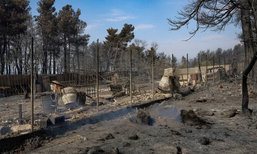 Αυτό είναι το το πλάνο για τις αγροτικές αποζημιώσεις στη Βόρεια Εύβοια