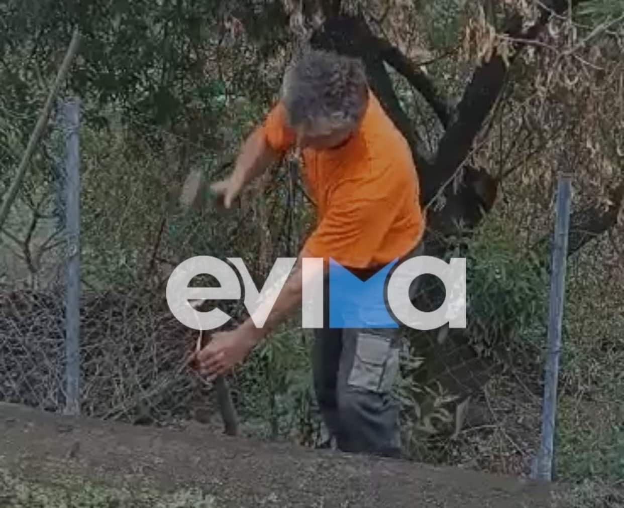 Εύβοια – Κακοκαιρία «Μπάλλος»:  Απέλπιδες προσπάθειες για οχύρωση στο χωριό Αχλάδι [εικόνες&βίντεο]