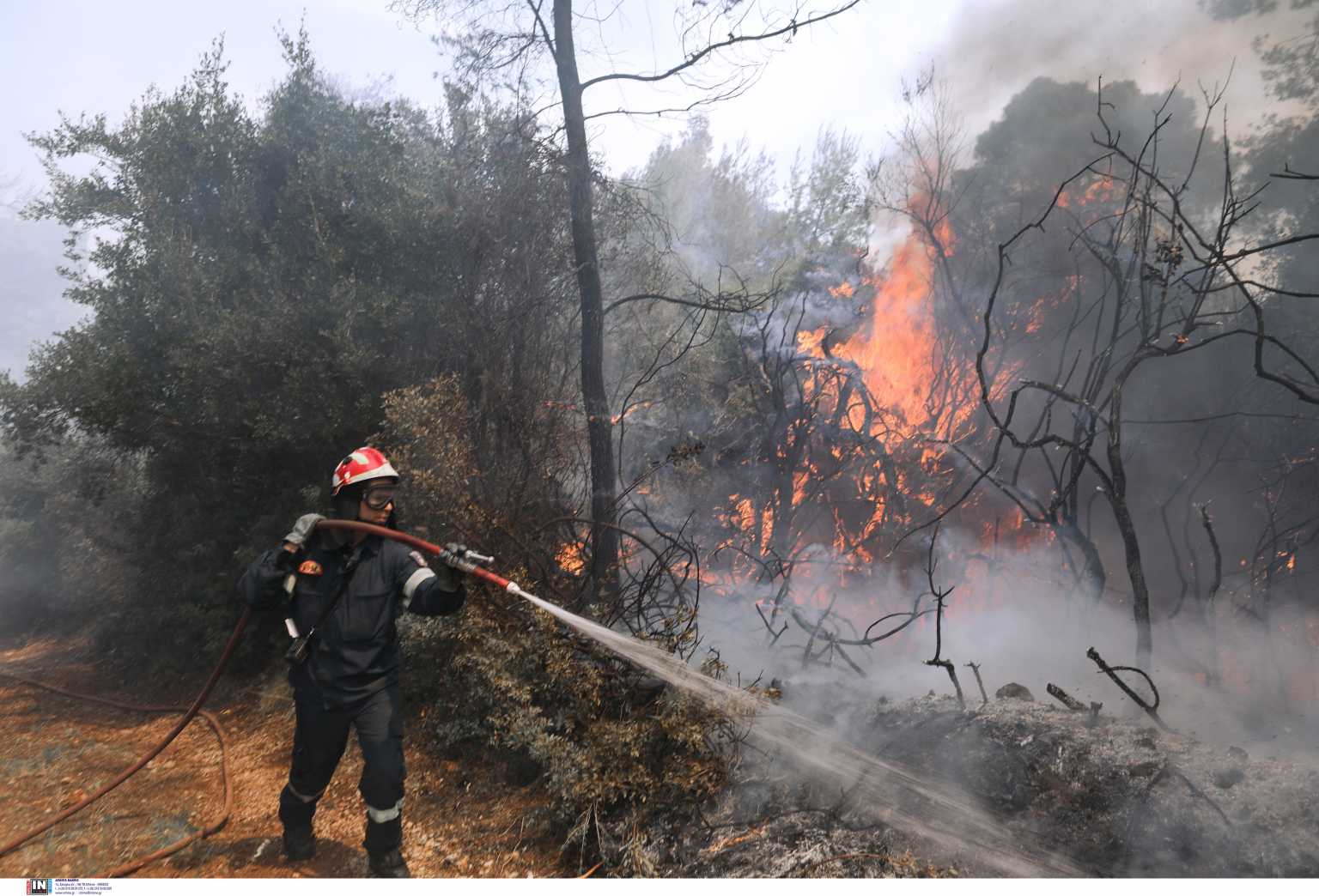 Φωτιά στην Αχαΐα: Επιχειρούν ισχυρές δυνάμεις της Πυροσβεστικής