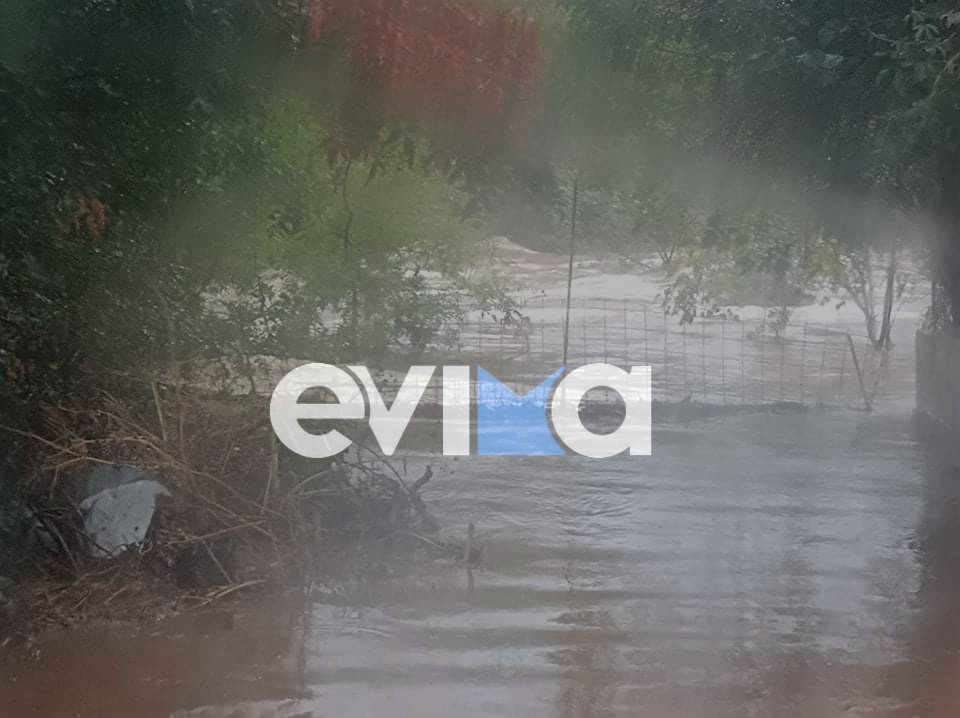 Κακοκαιρία «Μπάλλος» Ραβιόλος στο evima.gr: Πλημμύρισαν οι δρόμοι και κατοικίες στα Νέα Στύρα – Έκκληση στους πολίτες