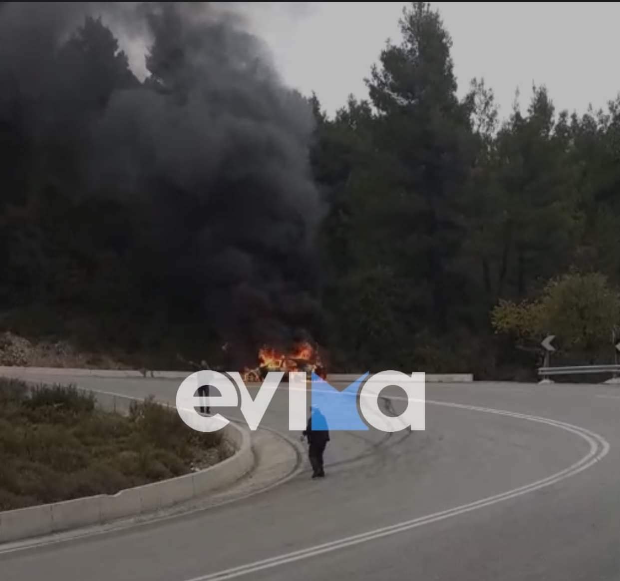 Εύβοια: Τυλίχθηκε στις φλόγες ΙΧ αυτοκίνητο στον Παγώντα – Η φωτιά επεκτάθηκε στο δάσος