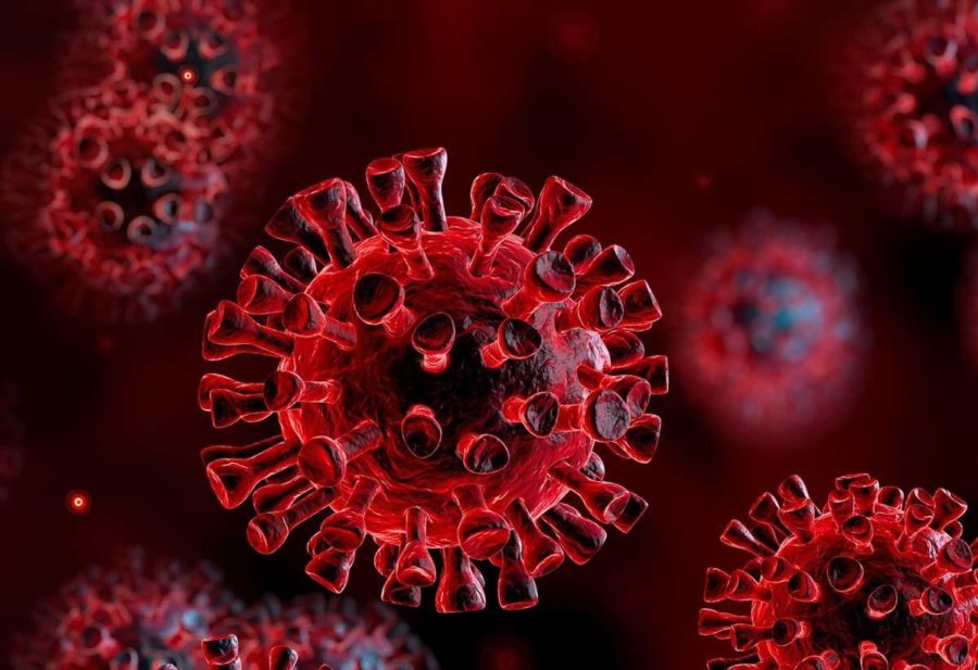 Συγκλονιστικό βίντεο: Δείτε πώς τα εμβόλια mRNA μαθαίνουν τα κύτταρα να «σκοτώσουν» τον κορονοϊό