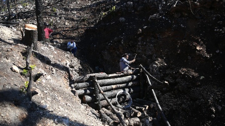 Βόρεια Εύβοια: Τρεις μήνες μετά τις φονικές πυρκαγιές – Συγκλονίζουν οι εικόνες