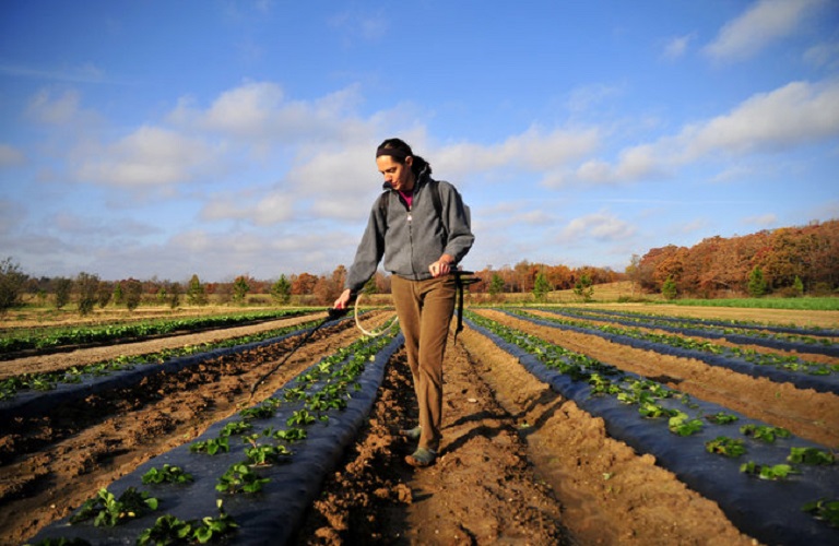 Νέοι Αγρότες: Άνοιξε η πλατφόρμα για το πρόγραμμα – Ποιοι είναι δικαιούχοι