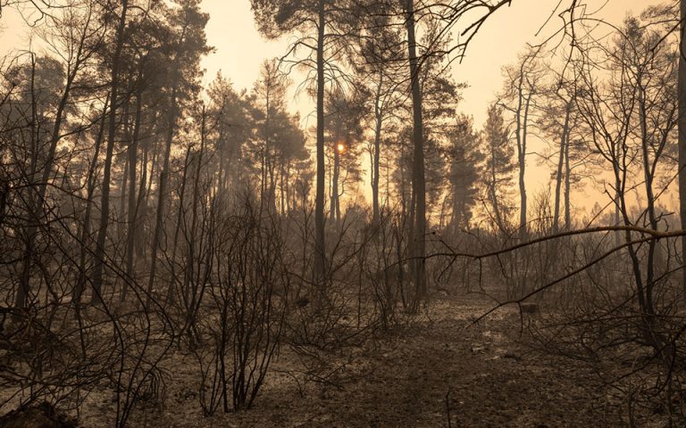 «Η λύση είσαι εσύ»: Διαδικτυακός τηλεμαραθώνιος για τα παιδιά και τους εφήβους της Βόρειας Εύβοιας