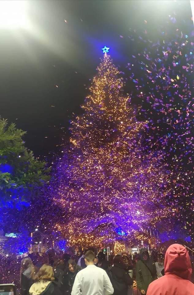 Χριστουγεννιάτικο Δέντρο: Η ιστορία του και τα έθιμα στην Ελλάδα