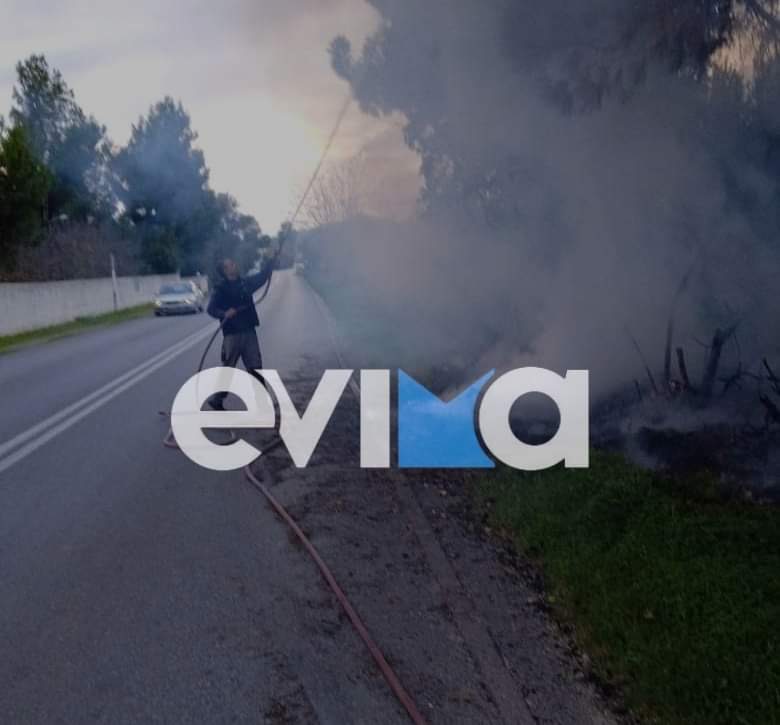 Ερέτρια: Συναγερμός από φωτιά σε φορτηγό και σε οικόπεδο (pics)