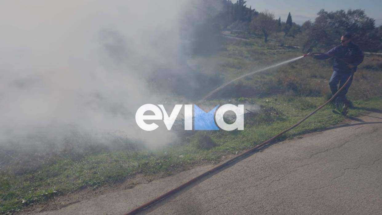 Εύβοια: Φωτιά στην Ερέτρια πίσω από το Αρχαίο Θέατρο (pic)