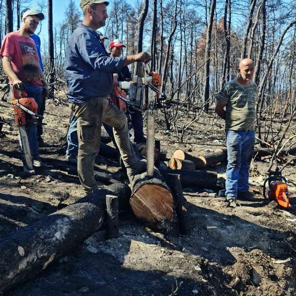 Β. Εύβοια: Πληρωμή έκτακτης οικονομικής ενίσχυσης των ρητινοκαλλιεργητών των πυρόπληκτων περιοχών