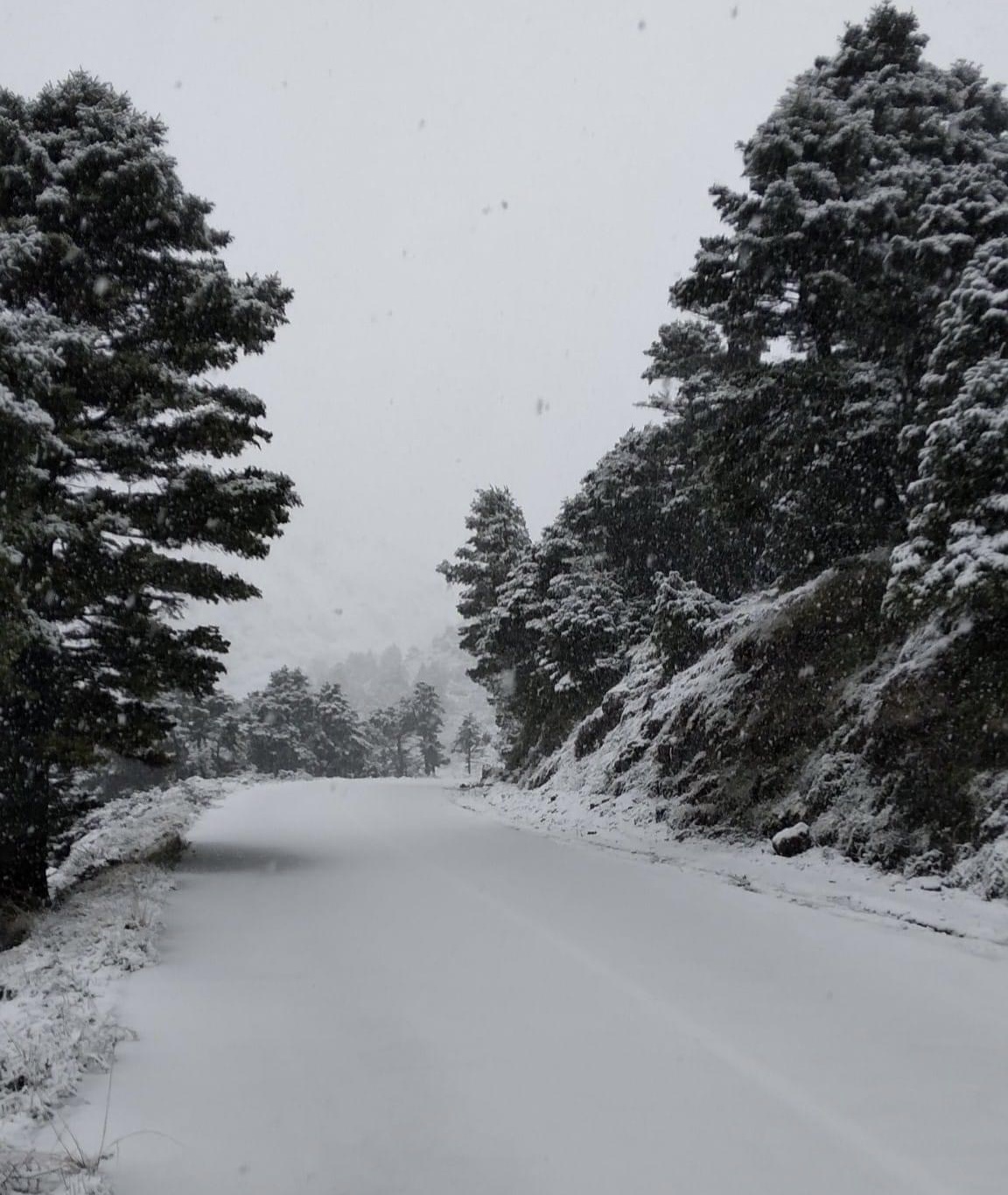 Κακοκαιρίας «Κάρμελ»: Χιόνια, άνεμοι και πολικό ψύχος και σήμερα στην Εύβοια