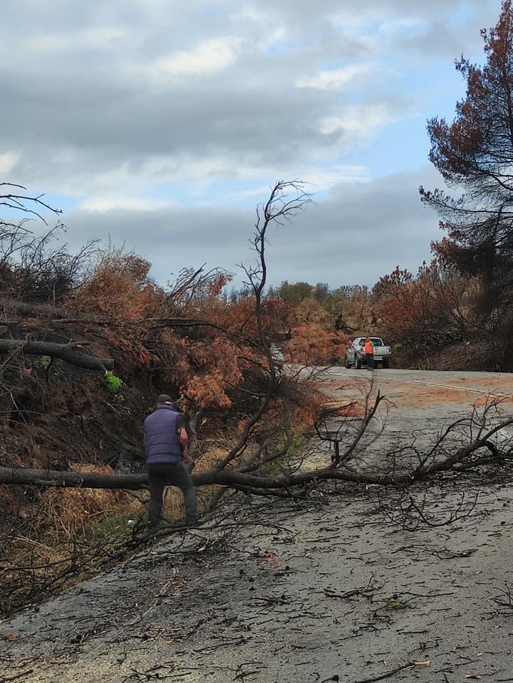 Κακοκαιρία Β. Εύβοια: Έντονα καιρικά φαινόμενα τις επίμενες ώρες – Κίνδυνος πτώσης δέντρων – Αποφύγετε τις μετακινήσεις