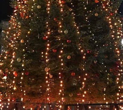 Αγία Άννα: Ανάβει σήμερα το Χριστουγεννιάτικο δέντρο ο Τσαπουρνιώτης
