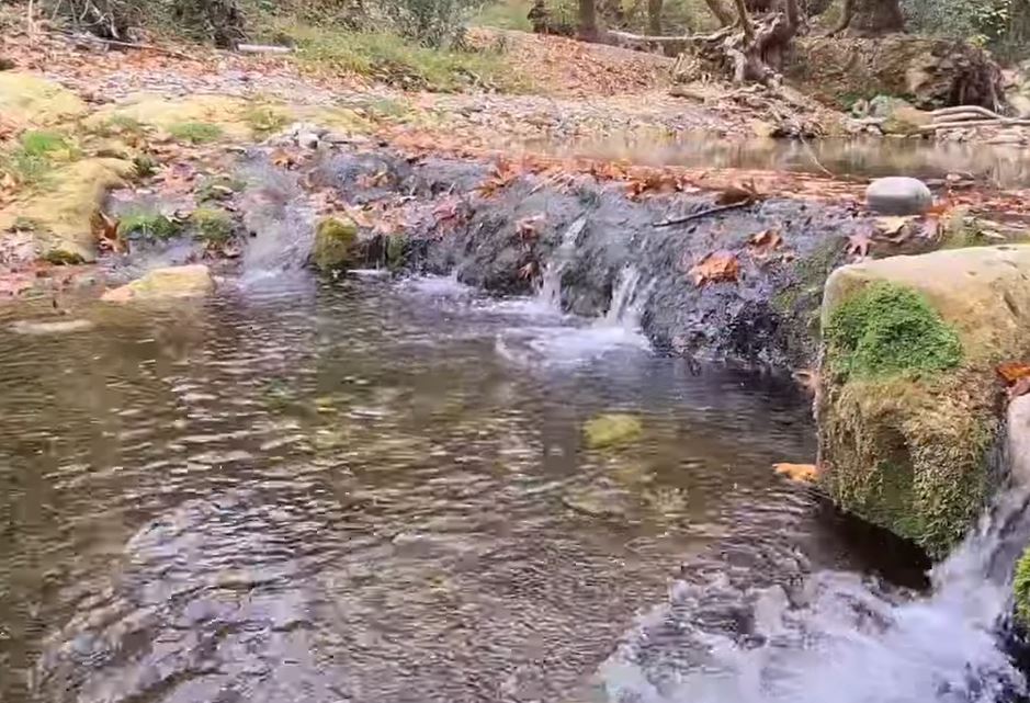 Έρια Εύβοιας: Οι καταρράκτες, το πλατανοδάσος και το εκκλησάκι της Υπαπαντής…