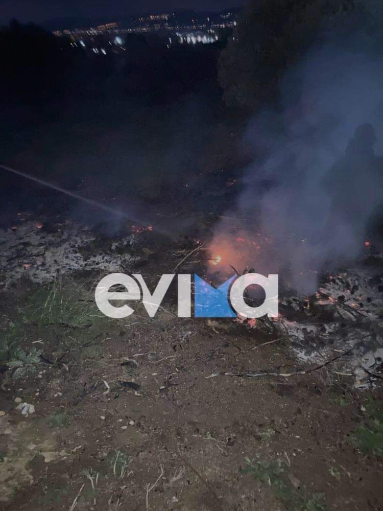 Εύβοια: Φωτιά στην Ερέτρια (pics)