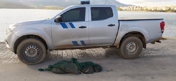Εύβοια: Τους τσάκωσαν για παράνομη αλιεία στη Γλύφα Χαλκίδας