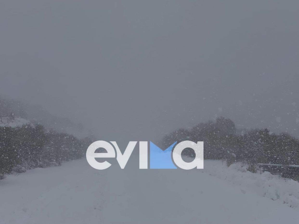 Κακοκαιρία «Ελπίδα»: Προσοχή! Έντονη χιονοθύελλα τώρα στη Νότια Εύβοια (vid)