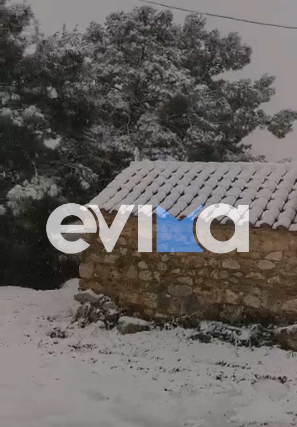 Κακοκαιρία «Ελπίς»: Χιονίζει στο κέντρο του Αλιβερίου – Είναι Σκυριανός ο καιρός, θα βάλει πολύ χιόνι, λένε κάτοικοι (vid)