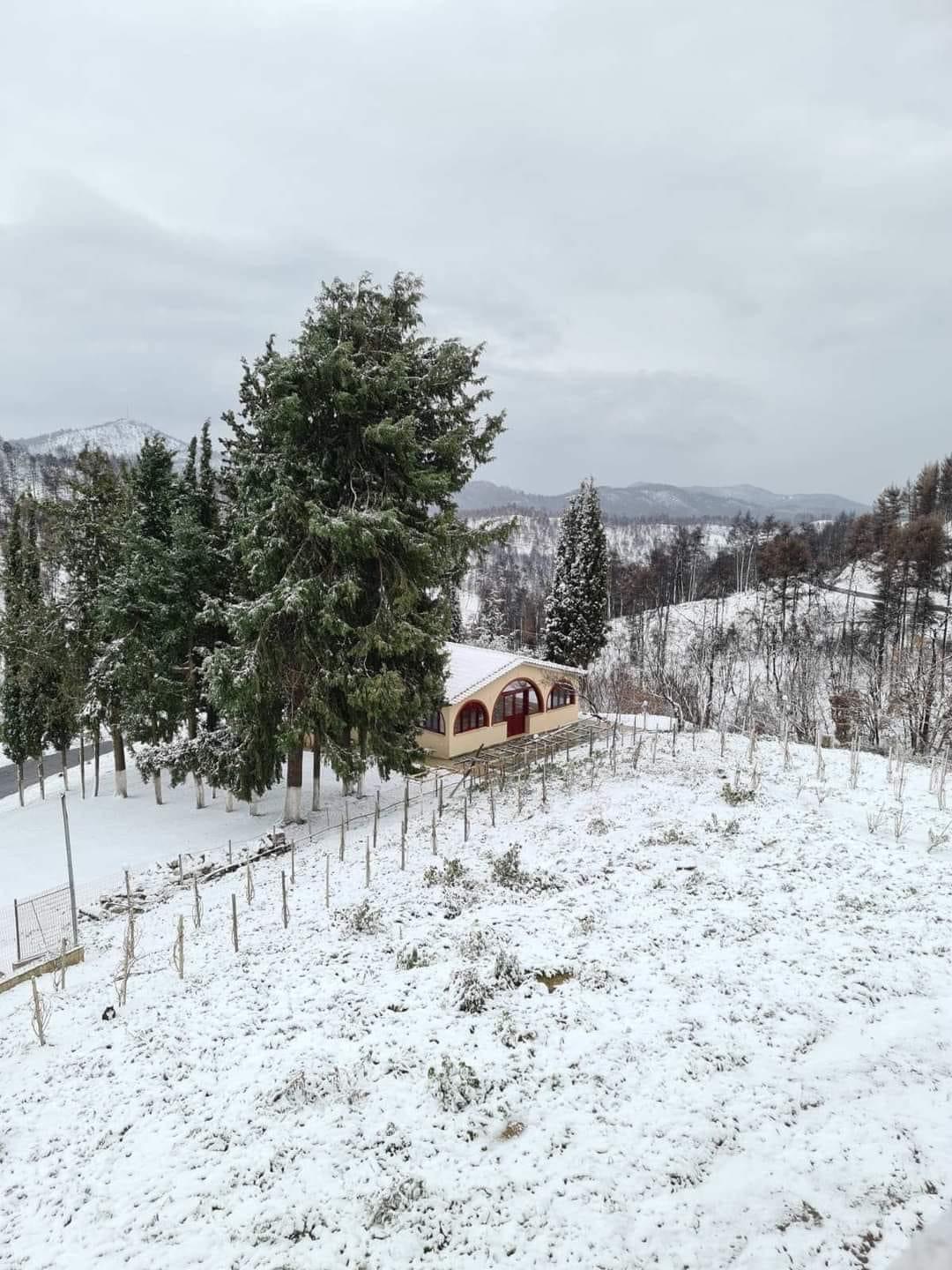 Β. Εύβοια – Κακοκαιρία «Ελπίς»: Υπέροχες εικόνες από το χιονισμένο Μοναστήρι του Οσίου Δαυίδ