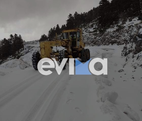 Κακοκαιρία «Ελπίδα»: Άρχισε να δείχνει τα… δόντια της στην Εύβοια – Πυκνό χιόνι στη Στενή