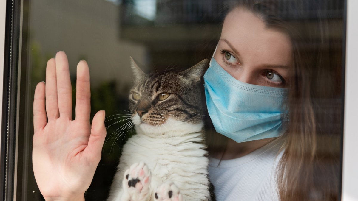 Eρευνητές λένε πως βρήκαν το πρώτο περιστατικό με γάτα που κόλλησε κορωνοϊό σε άνθρωπο