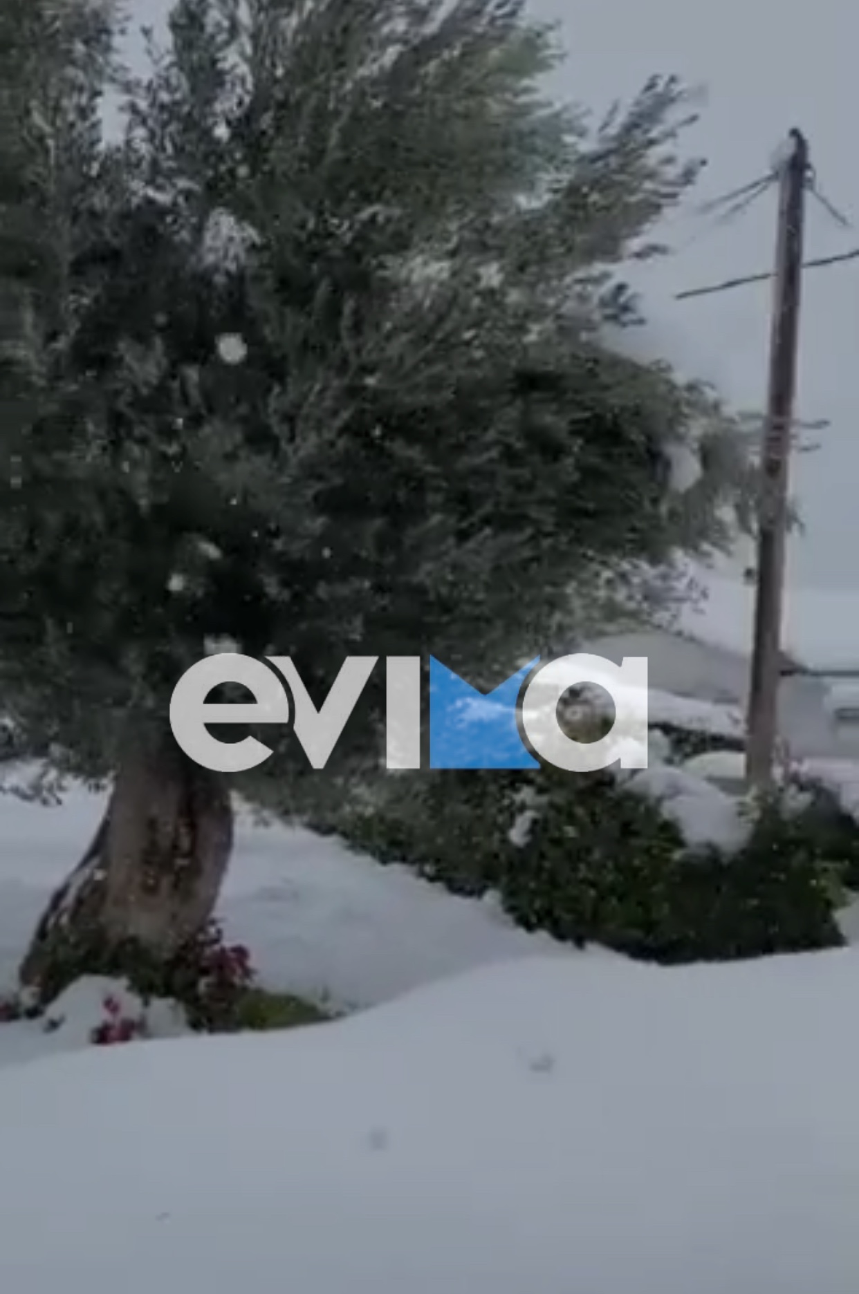 Κακοκαιρία Ελπίς: Πυκνή χιονόπτωση ΤΩΡΑ στο Δήμο Ερέτριας (vid)