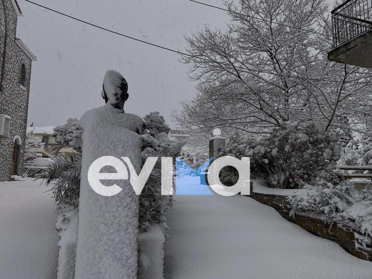 Ρεπορτάζ evima.gr: Βουλιάζει στο χιόνι η Εύβοια – Χωρίς ρεύμα χωριά της Κύμης (pics&vid)