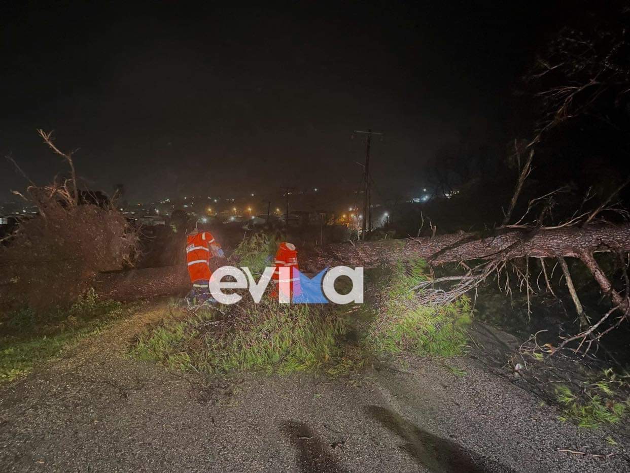Κακοκαιρία «Διομήδης»: Σοβαρά προβλήματα στη Βόρεια Εύβοια – Κόπηκε στα δύο δρόμος (pics)