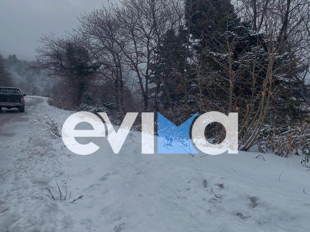 Κακοκαιρία «Ελπίς»: Χιόνια και πολικό ψύχος στην Εύβοια – Αυτές οι περιοχές ντύθηκαν στα λευκά (pics&vid)