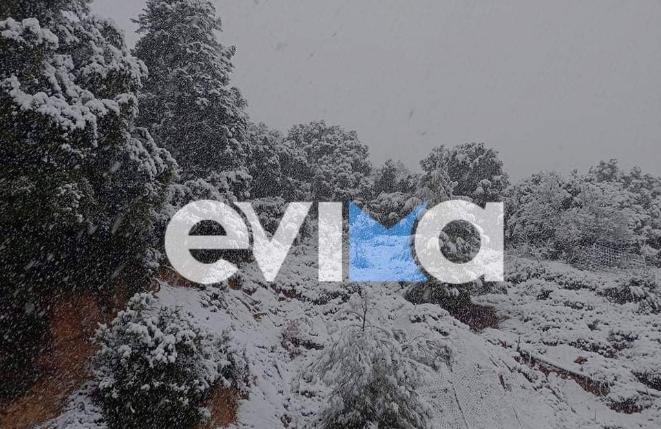 Meteo: Στη Σέτα το μεγαλύτερο ύψος υετού σε μορφή χιονιού και ήταν 23 χιλιοστά (πίνακας)