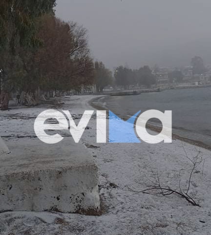 Κακοκαιρία «Ελπίδα»: Το χιόνι έβαψε την άμμο… λευκή – Μαγικές εικόνες από την παραλία Αλμυροποτάμου