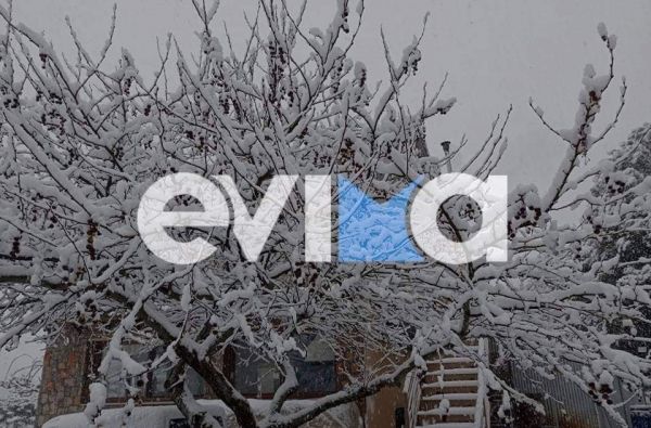 Μαρουσάκης στο evima.gr: Ισχυρές χιονοπτώσεις στην Εύβοια τις επόμενες ώρες