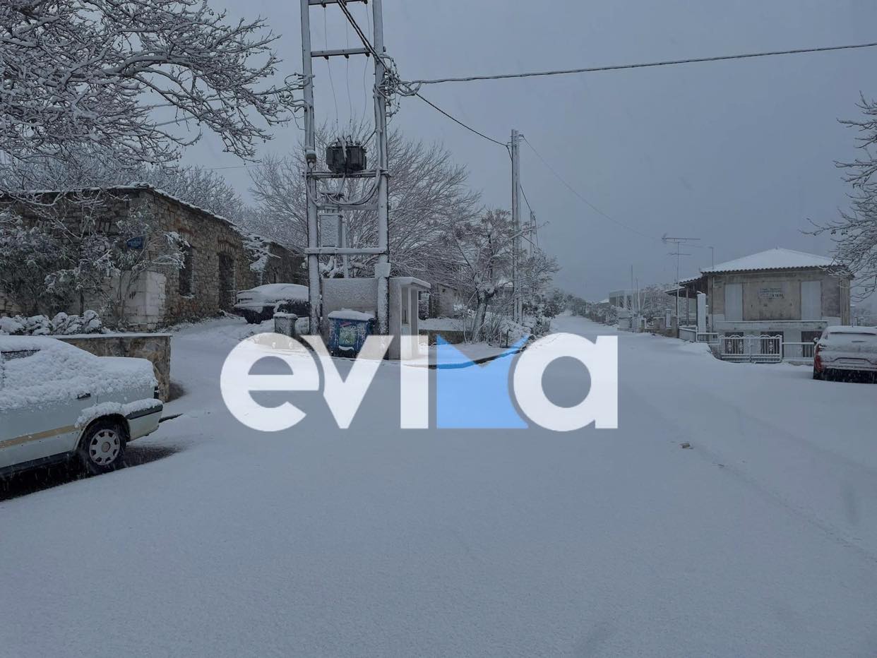 Ραβιόλος στο evima.gr: Κλείνουμε προληπτικά τα σχολεία σε όλο το δήμο μέχρι να τελειώσει η κακοκαιρία