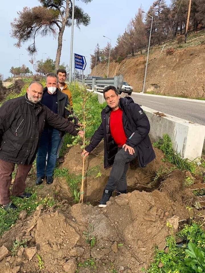 Λίμνη: Κωνσταντινάκης και Σταμούλος, φύτεψαν τα πρώτα δέντρα στην είσοδο της πόλης (pics)