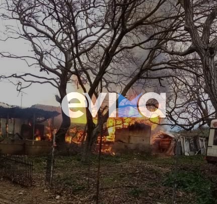 Φωτιά ΤΩΡΑ σε αποθήκη στον Πάλιουρα του Δήμου Διρφύων Μεσσαπίων