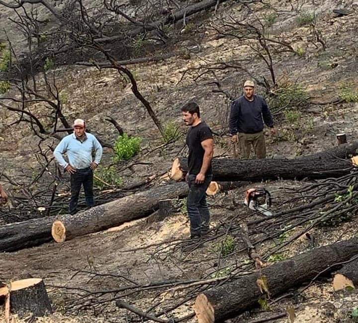 Τσαπουρνιώτης: Ξεκινά η ξύλευση στο καμένο δάσος και ο καθαρισμός καμένων κτισμάτων του Δήμου