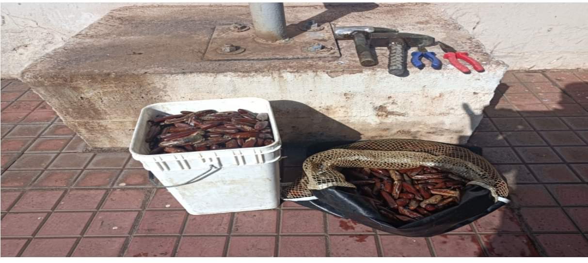 Λάρυμνα: Τους τσάκωσαν να ψαρεύουν παράνομα Πετροσωλήνες και Αχινούς