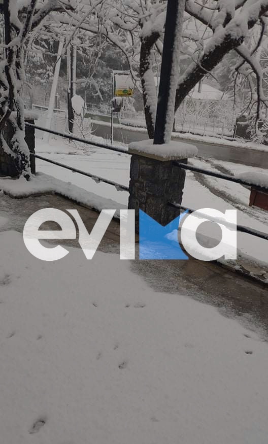 Κακοκαιρία Εύβοια: Χιονίζει και στον Άγιο – Που έχει διακοπή κυκλοφορίας
