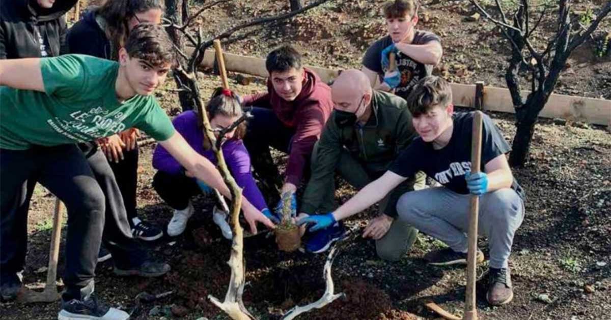 Λίμνη Ευβοίας: Φυτεύθηκαν τα πρώτα δέντρα στις καμένες εκτάσεις της περιοχής