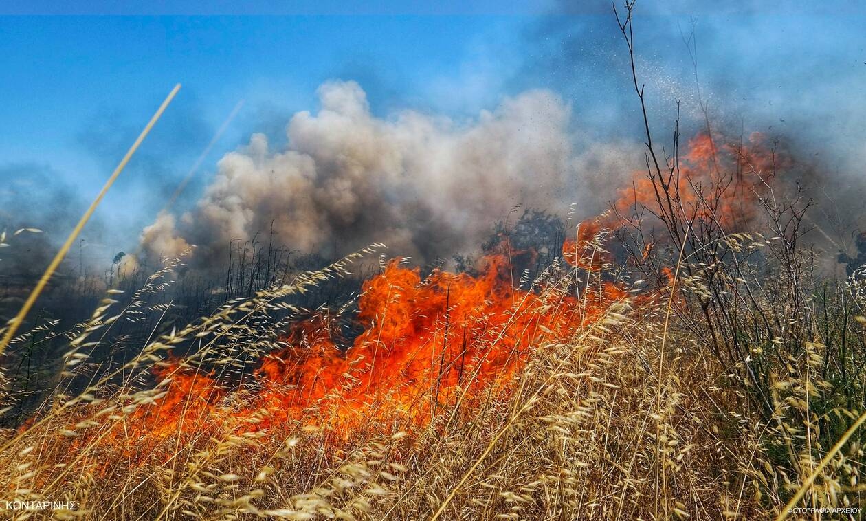 Εύβοια: Φωτιά σε πτηνοτροφική μονάδα στην Κοινότητα Τριάδας