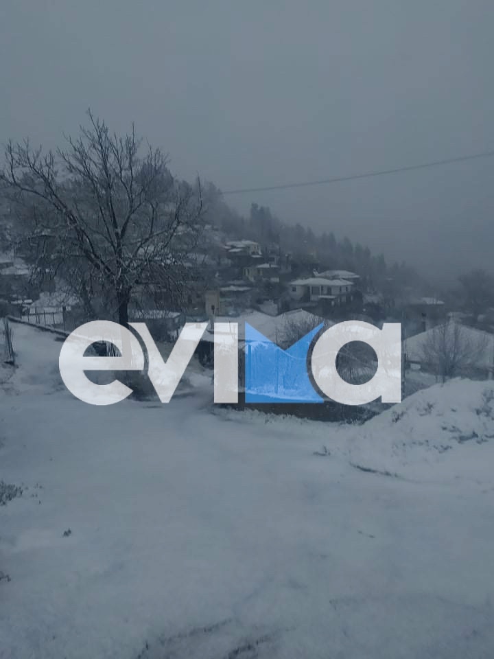 Τσαπουρνιώτης στο evima.gr: Κλειστό το Δημοτικό σχολείο της Κερασιάς λόγω χιονιά