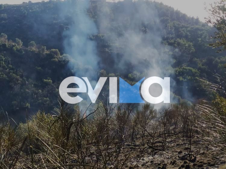 Εύβοια: Φωτιά σε δασική έκταση στο Μίστρο (pics)