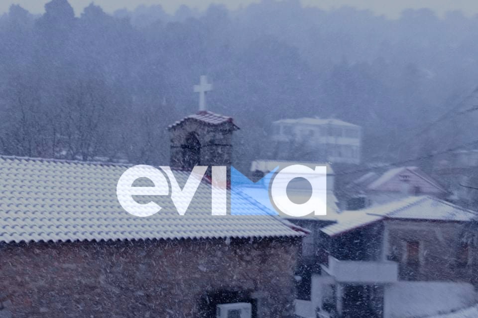 Κακοκαιρία «εξπρές»: Έντονη χιονόπτωση στη Σέτα Ευβοίας – Τι λέει η πρόεδρος στο evima.gr