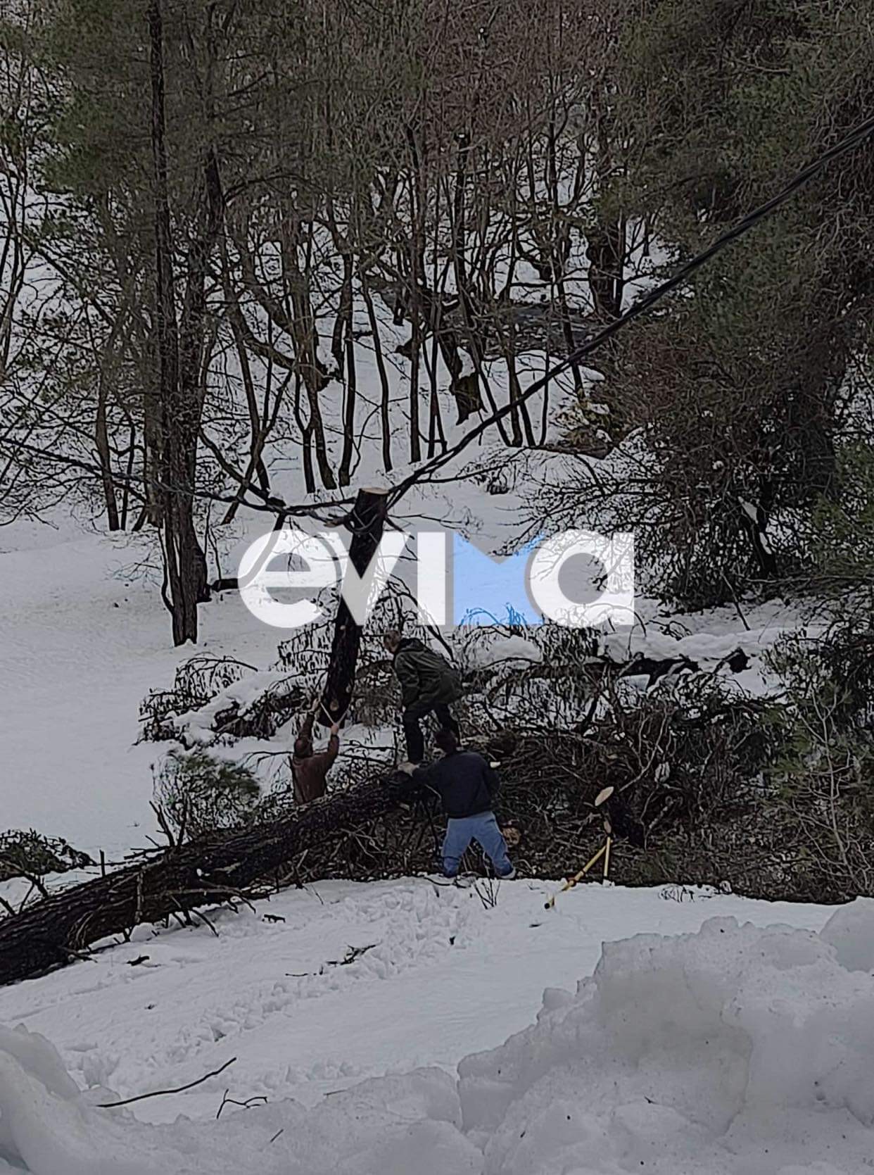 Εύβοια: Μετά από δύο μέρες δόθηκε ρεύμα στα χωριά Παγώντας, Μαρκάτες και Άκρες – Δείτε που δούλευαν οι τεχνικοί της ΔΕΔΔΗΕ  (pics)